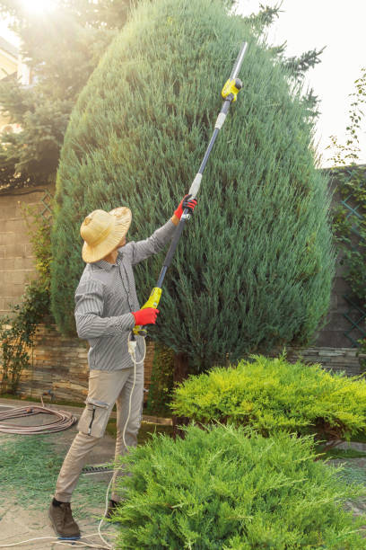 Best Weed Control  in West Vero Corridor, FL